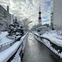 ☃️Odori Park สวนสาธารณะโอโดริ ในฤดูหนาว☃️❄️