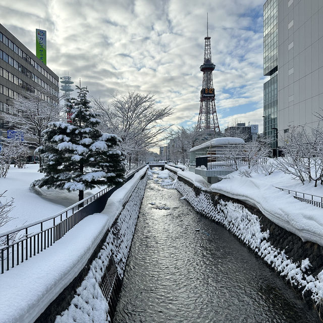 ☃️Odori Park สวนสาธารณะโอโดริ ในฤดูหนาว☃️❄️