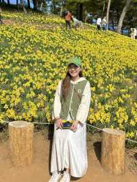 서산 유기방가옥 실시간 수선화 개화현황🌼