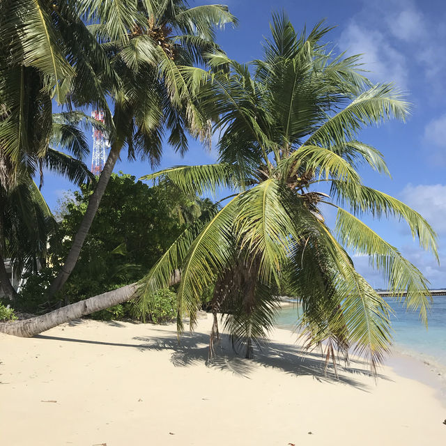 Welcome to Addu , a jewel across the equator 