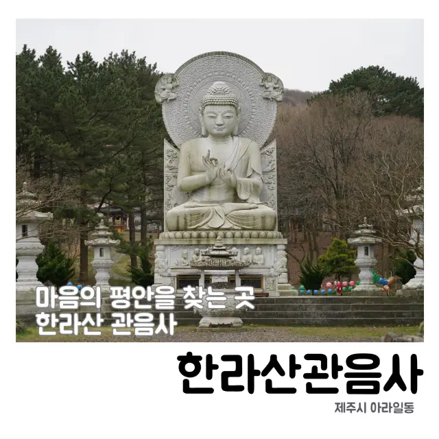 👍🏻 한라산의 숨은 보물, 관음사에서 평화를 찾다!