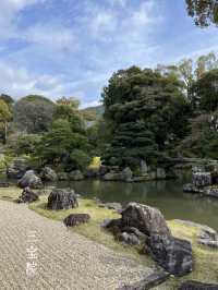 訪れる価値あり🌸豊臣秀吉も愛した醍醐寺の桜