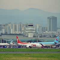 ✈️ 제주올레길공항코스, 공항과 하늘을 걷다