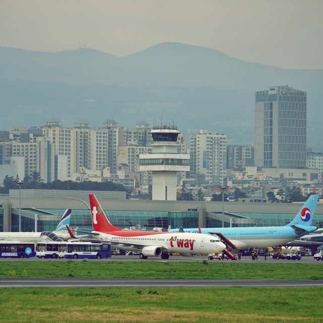 ✈️ 제주올레길공항코스, 공항과 하늘을 걷다