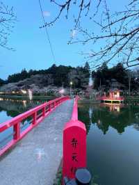 【千葉】今週末が見頃!!桜の名所100選の穴場お花見スポット