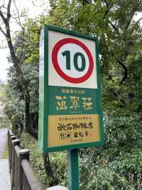 【📍愛媛】国重要文化財 萬翠荘