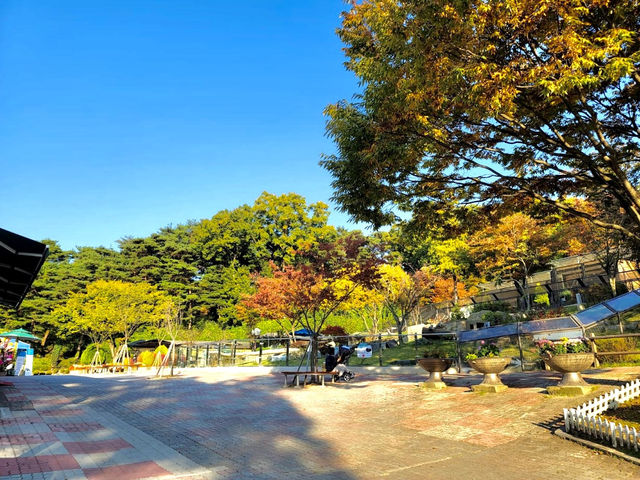 Cheongju Zoo