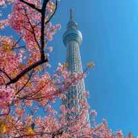 🪷 Big Tower Tokyo Skytree 🇯🇵