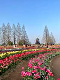 Akebonoyama Park 