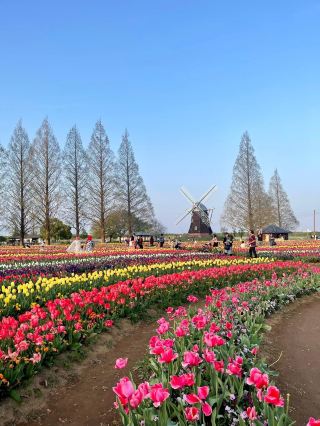Akebonoyama Park 