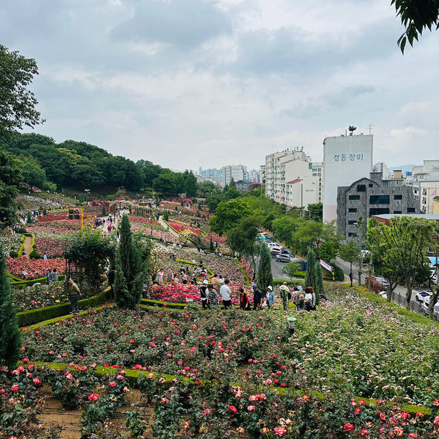 서울 근처에서 많은 장미를 볼 수 있는 곳
