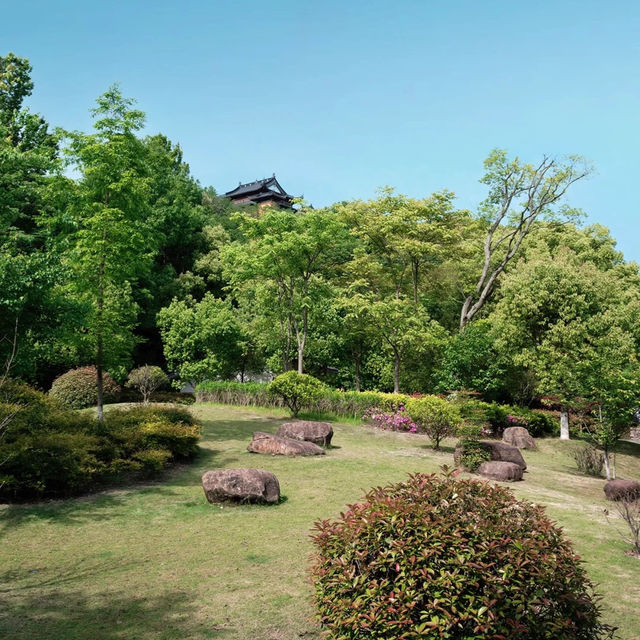 【日韓春天好去處】城市綠洲，親密接觸大自然
