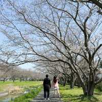 日本九州｜日本的公園總是令人著迷😍
