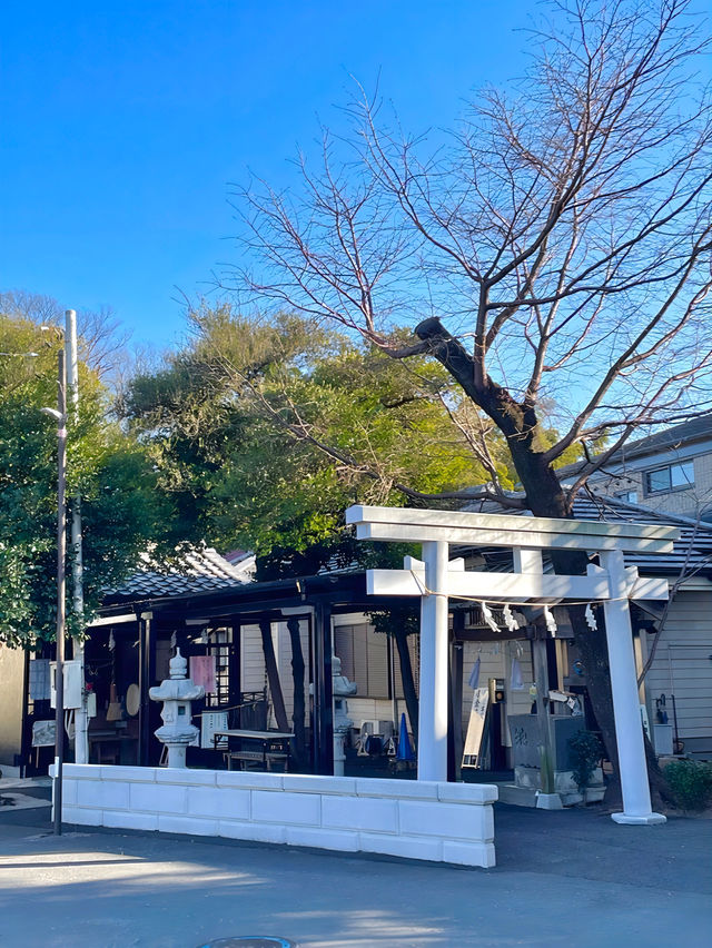 【上宮大澤神社/東京都】美しい竹林が見られる