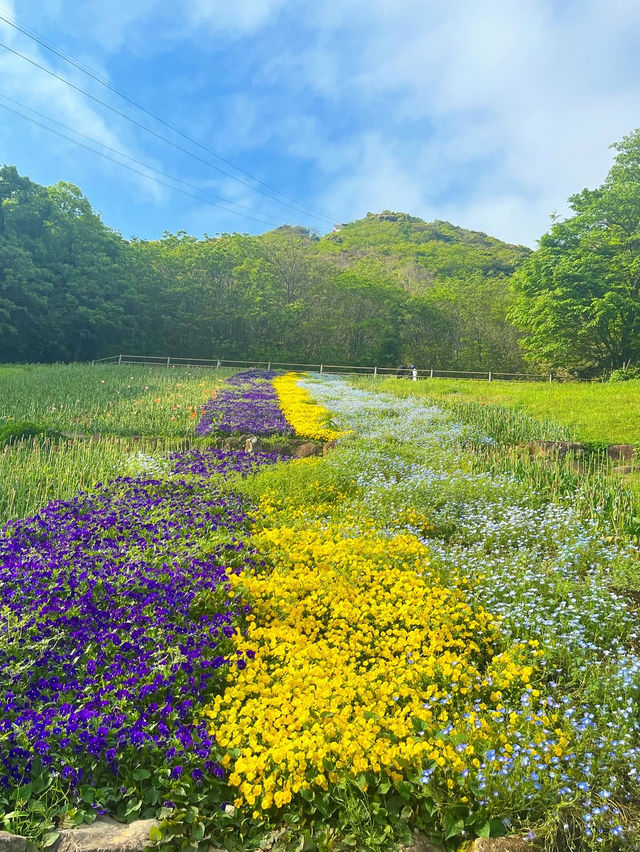 【山口観光】無料で楽しめるお出かけスポット🌼
