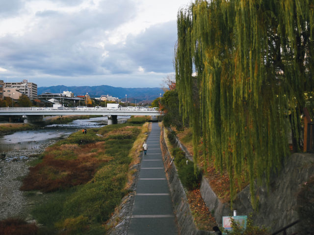 เดินเล่นริมแม่น้ำเมืองเกียวโต 🇯🇵
