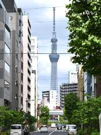 【玉尾稲荷神社/東京都】日本橋のビルの谷間に鎮座する
