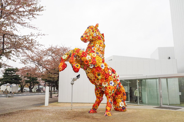青森十和田市現代美術館 | Trip.com 十和田