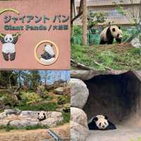 【東京景點】上野動物園：100年歷史，必探訪！🐼🐻‍❄️🌳🌍