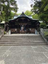 【京都】うさぎが可愛い神社