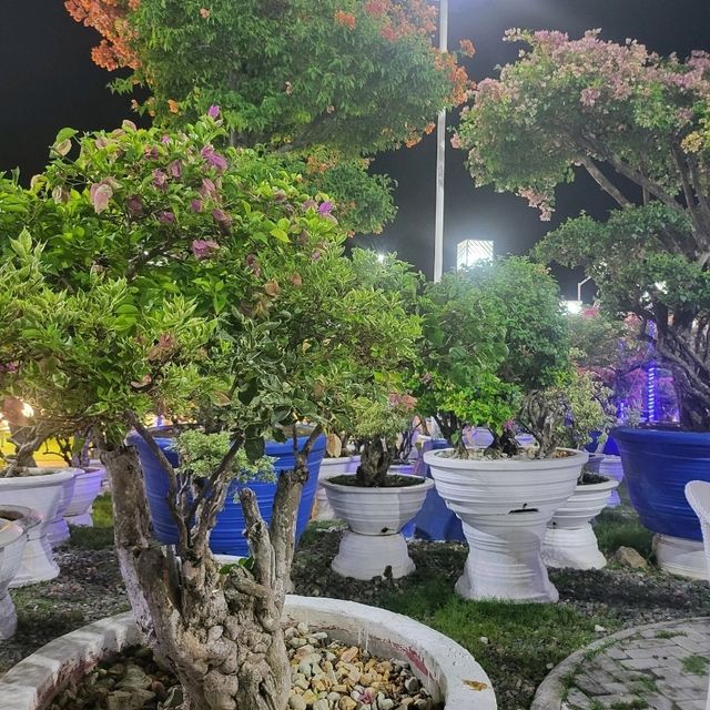 the Meraki Garden