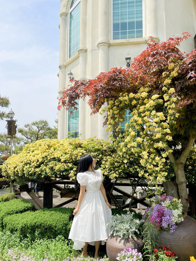 🌼여수에서 제일 예쁜 목향장미 포토존!!!