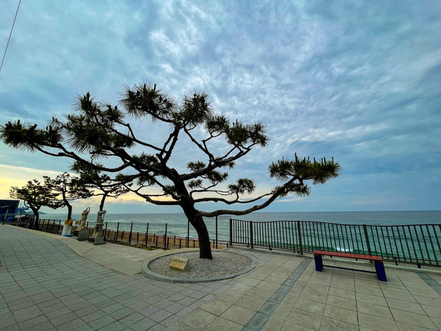 정동진역...
