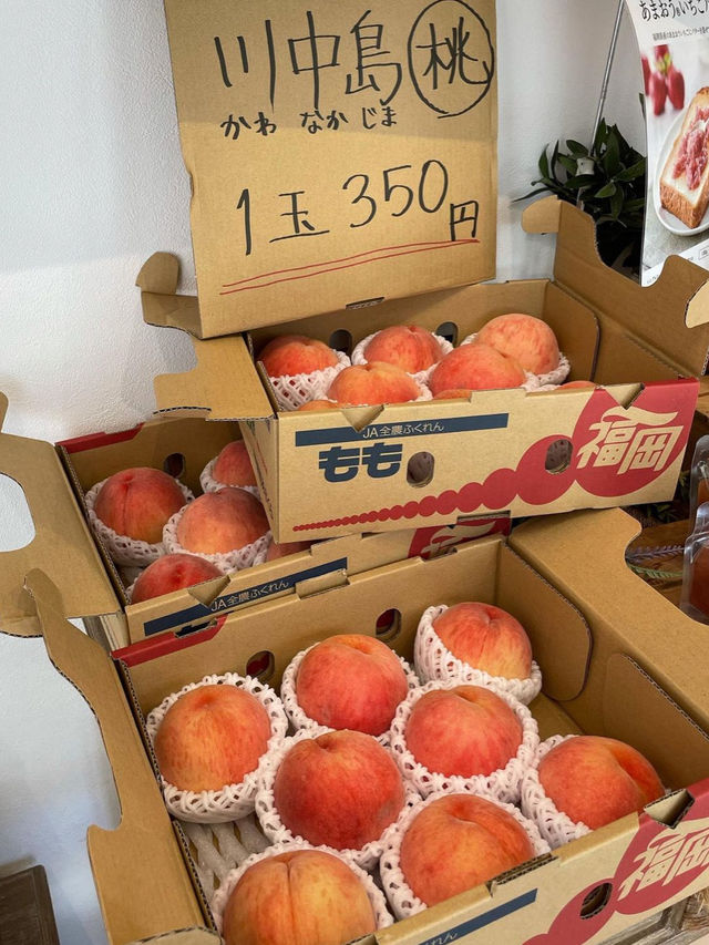 【福岡グルメ】ジューシーなフルーツパフェが美味しいよ
