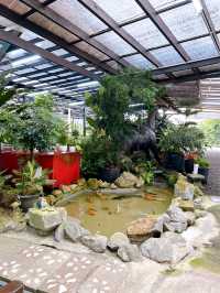 Why Choose AGRO Nursery?