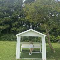 인생샷 남기기 좋은 제주의 푸른 아침미소목장 💚