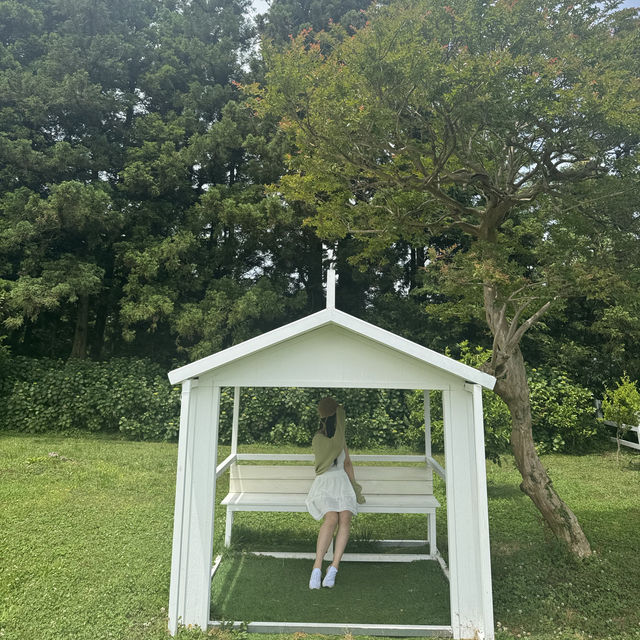 인생샷 남기기 좋은 제주의 푸른 아침미소목장 💚