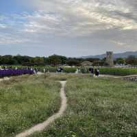 韓國 慶州 世界遺產一日遊：佛國寺、月池、瞻星台星