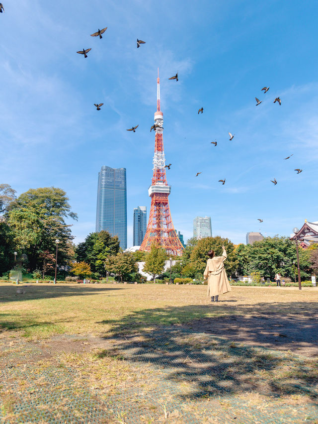 【東京】東京タワーと写真を撮るならココ！