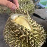 มาเที่ยวเมืองขุนหาญ