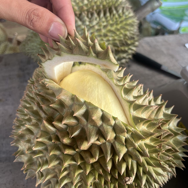 มาเที่ยวเมืองขุนหาญ
