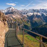 Thrill Walk