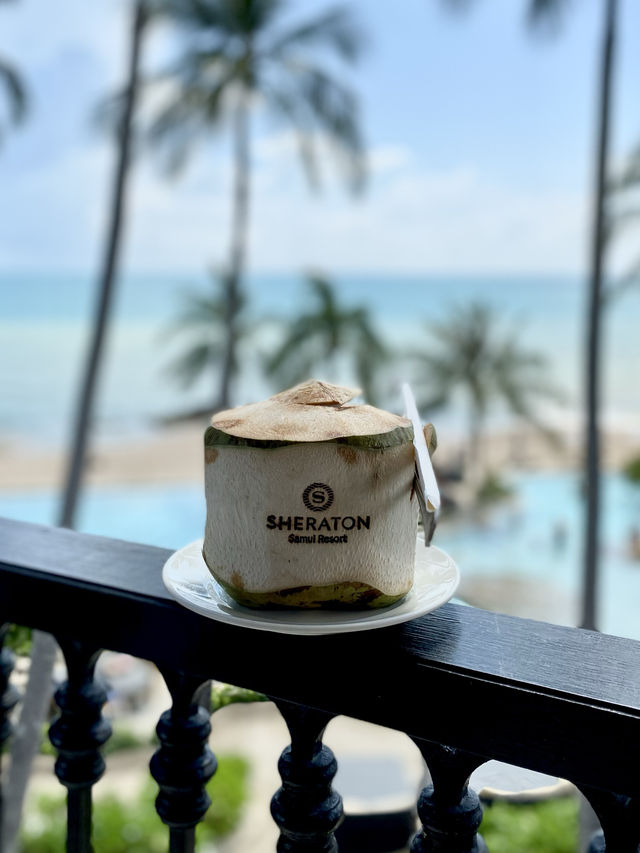 BLUE MONKEY 🐒 ดื่มด่ำริมทะเลสมุยที่แท้ทรู 🧊