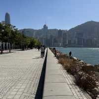West Kowloon Cultural District
