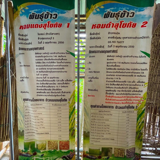 เรียนรู้วิถีชีวิตแบบเรียบง่าย กับการทำเกษตรอินทรีย์