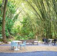  Assana Cafe Khaoyai 