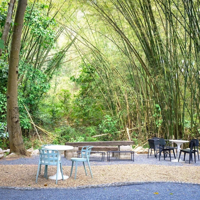  Assana Cafe Khaoyai 