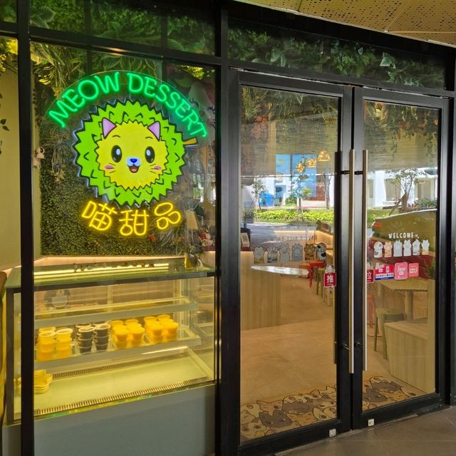 Cute Cat Themed Dessert Cafe 😺