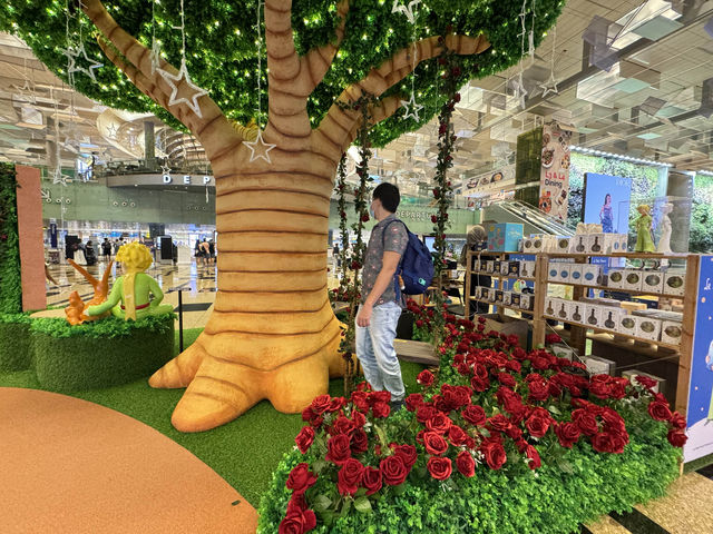 Little Prince Exhibition ✨