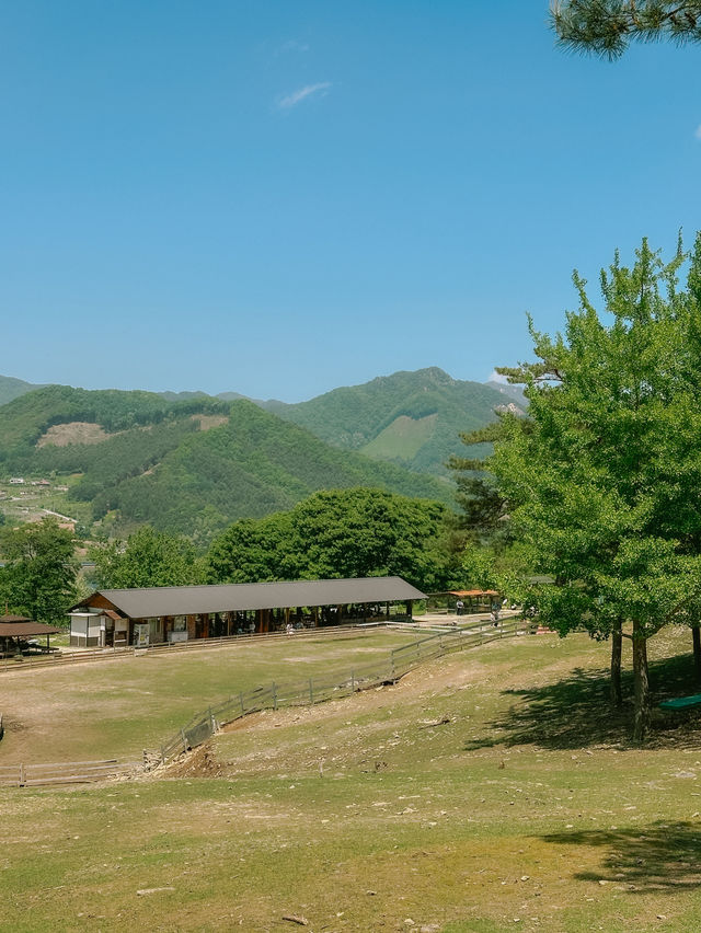 아이랑 가기 좋은 춘천 명소🧚🏻