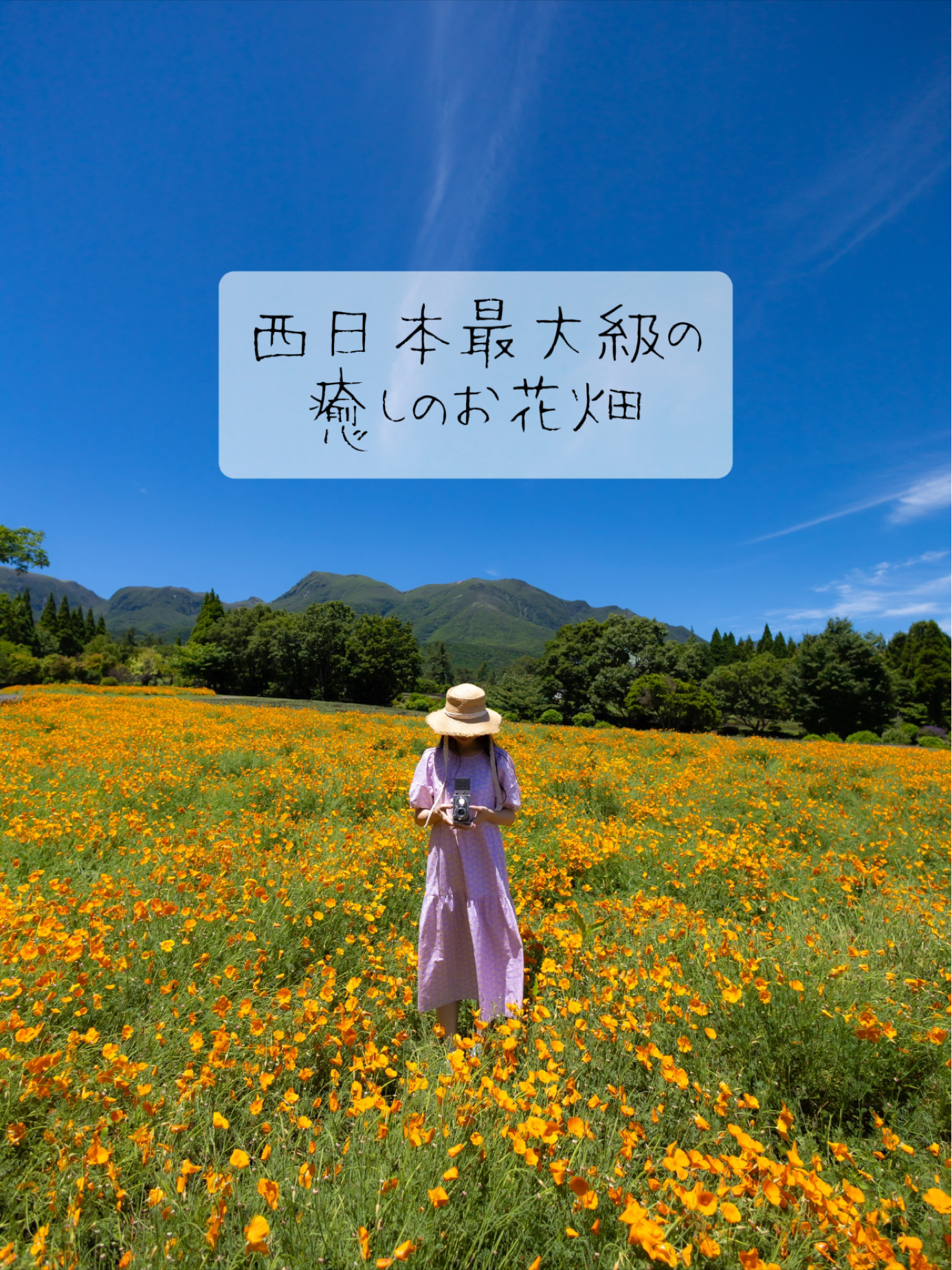 一年中お花が咲き誇る西日本最大級のお花畑🌼 | Trip.com 竹田市