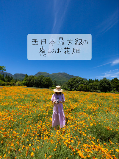 一年中お花が咲き誇る西日本最大級のお花畑? | Trip.com 竹田市