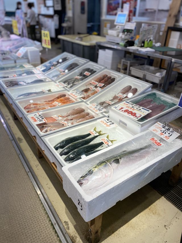 【鳥取】新鮮な魚や土産が揃う市場