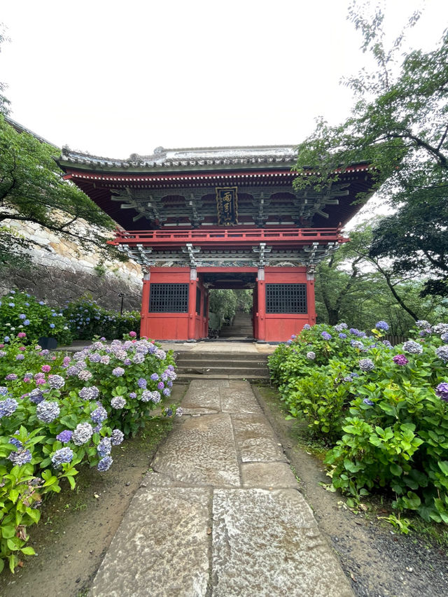 誰もが一度は見たい水中華🥰💠💐圧巻の紫陽花演出は必見！