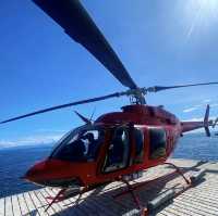 Chopper ride reef magic