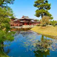 〜京都府〜一度は行こう！世界遺産平等院！10円の裏のお寺